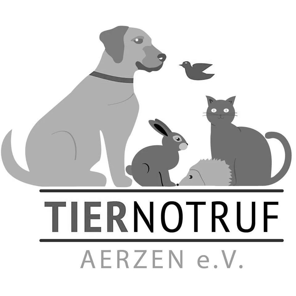 Sample logo
